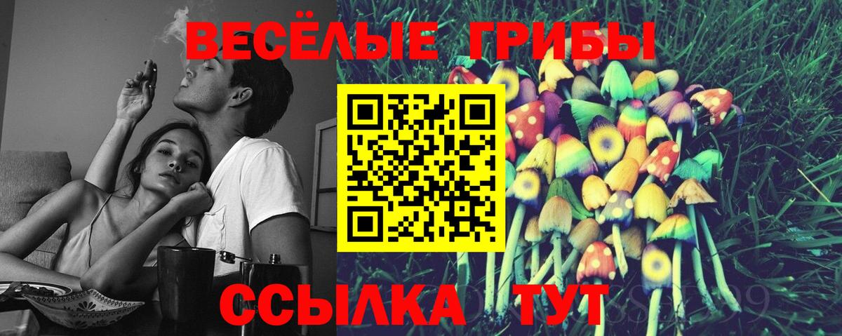 Галлюциногенные грибы мицелий  Вход с VPN  купить наркотик  Ступино 